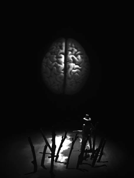 1465306_552520984830974_256539815_n