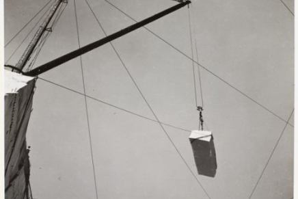 Stefan Simić: Kolika đubrad mogu da&nbsp;budu!