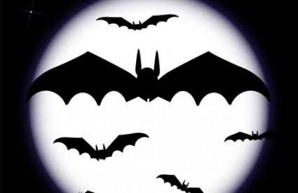 Nataša Andrić: NAPIŠEŠ ŠIŠMIŠ PISANOM ĆIRILICOM I PUKNE TI&nbsp;MOZAK