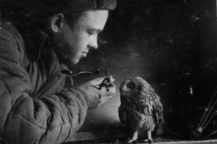 Ninoslav Žagar: KRUH OD&nbsp;JUČER