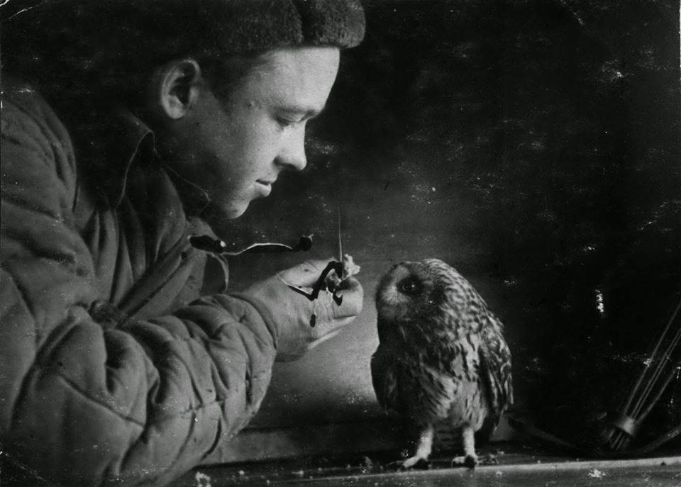 10930525_872931629437746_2391902216442323780_n