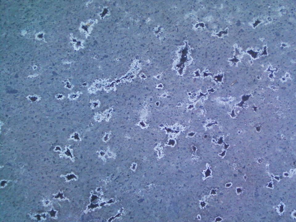 10981861_787346514664032_5777783806093025715_n