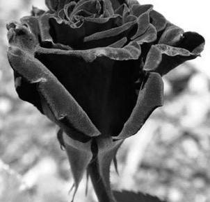 Борис Дежулиовић: Уjeдињeњe aли&nbsp;смрт