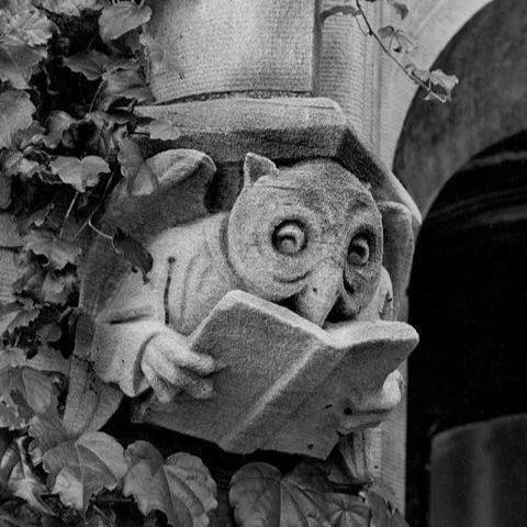 ^65539FDDC9412B0AEBD392268F32C353E90040A1A57068E024^pimgpsh_fullsize_distr