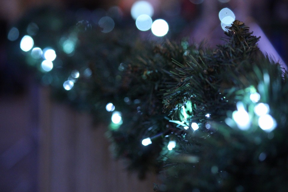 Fotografija: Sanja Šantak