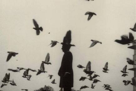 Božica Jelušić: PRONAĐI ULJEZA ILI SE OBJESI ZA KRAVATU NA&nbsp;TAVANU!