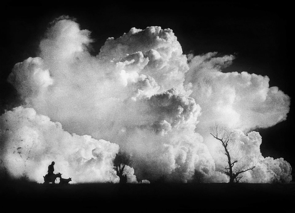 1472813_758116170868951_1160740953_n