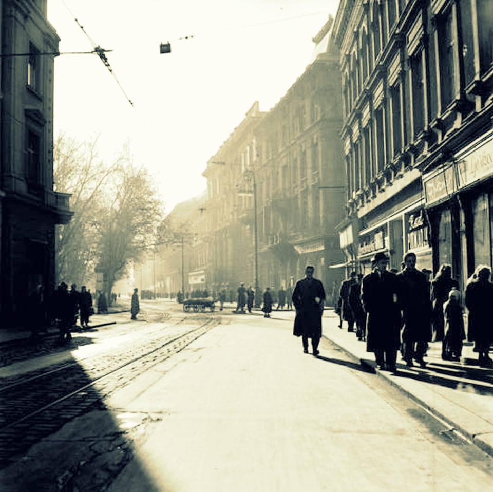 10151800_910068169062088_8993333912930231355_n