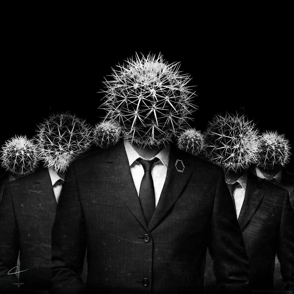 11174849_902285403160970_2503671752563128981_n