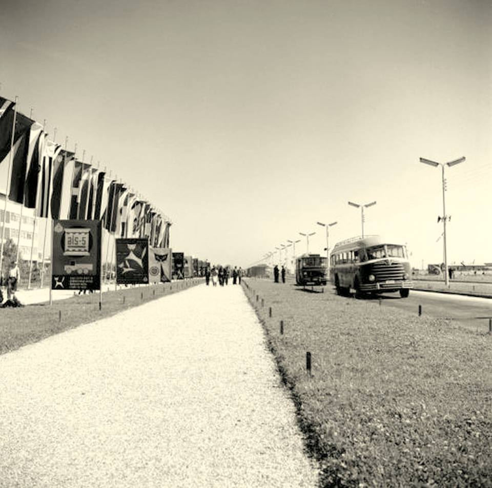 940867_910223889046516_4682498277683154739_n