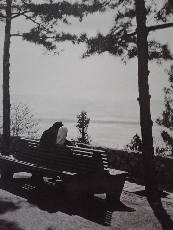 tumblr_n41cng93yF1qf8fa5o1_r1_1280