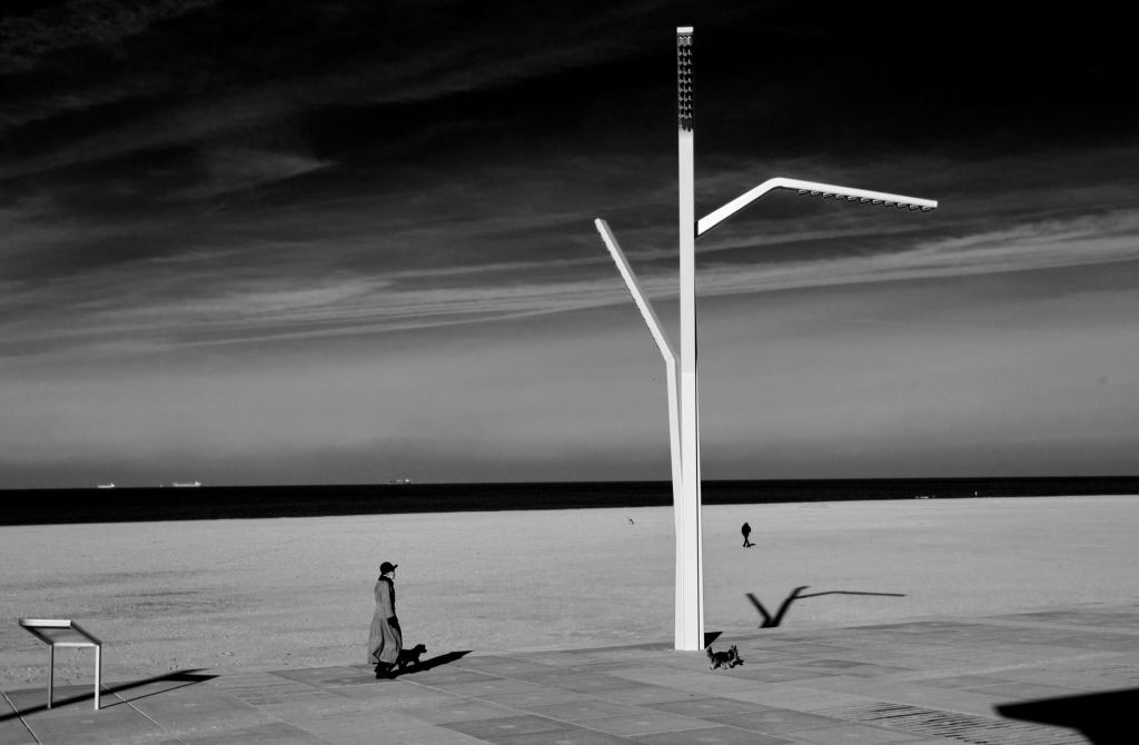 10636612_992818007431382_8848279216126836553_o