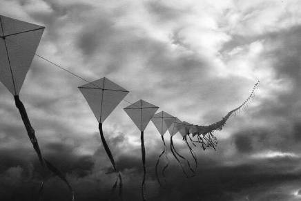 Elis Bektaš: JUGOVINA