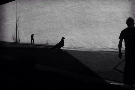 Dejan Đorđević: BITI IZNAD&nbsp;SVEGA