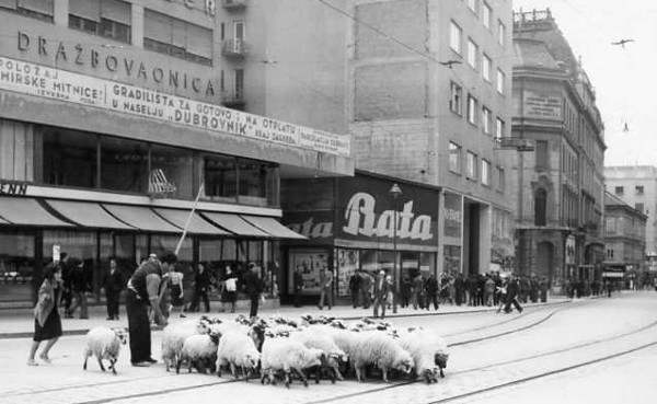 12416_101649419871232_463633_n