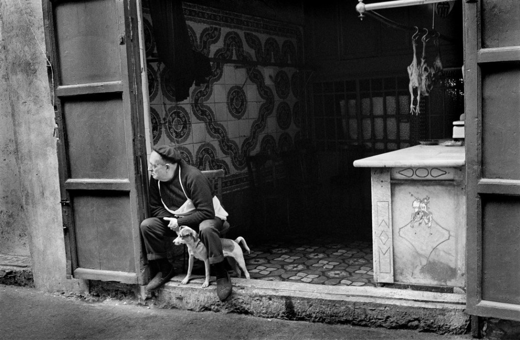 1506375_923866721054099_9218396709666059577_o