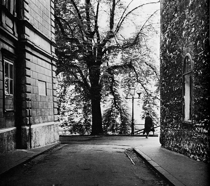 1932696_527022014082918_1933664469_o