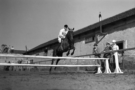 Božica Jelušić: RAZVOJ&nbsp;UBRZANJA