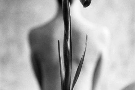 Božica Jelušić: DVIJE-TRI O VRTU I O&nbsp;LJUDIMA