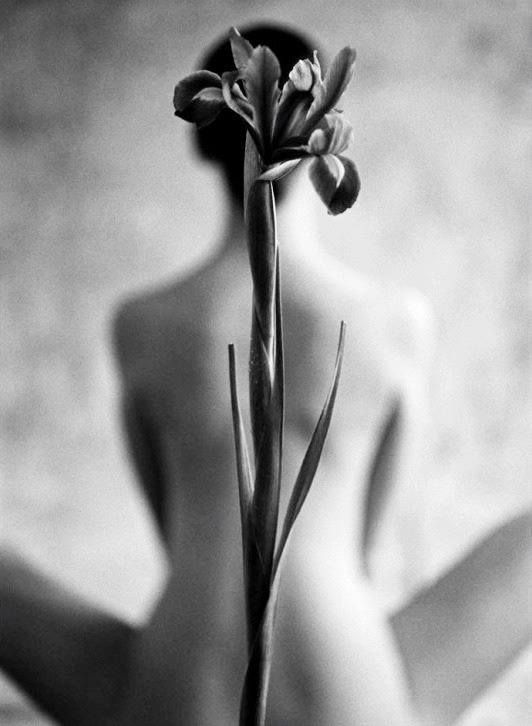 21529_463763030493591_5878299571164045612_n