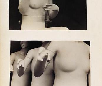 Božica Jelušić: DOSTOJAN&nbsp;PROTIVNIK