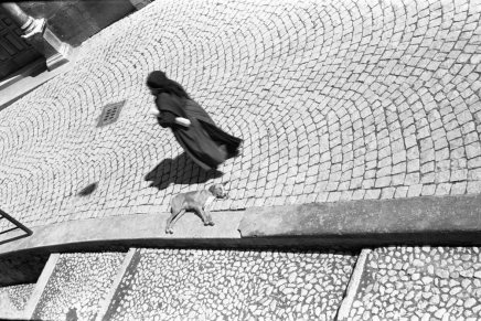 Božica Jelušić: O&nbsp;IZVORNOSTI