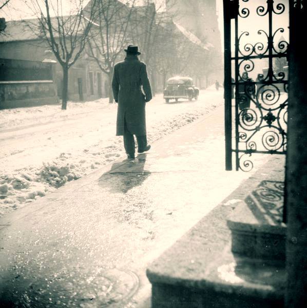 941601_1263389523678464_8598565125247946872_n