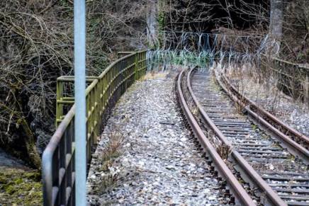 Rasizam i ksenofobija: savršen izgovor za ograničavanje&nbsp;sloboda