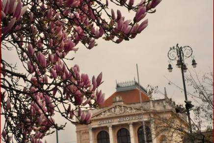 Božica Jelušić: IZVJEŠĆE S&nbsp;PUTOVANJA