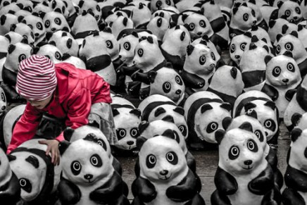 Bilježnica Robija K.: Domovinski&nbsp;odgoj