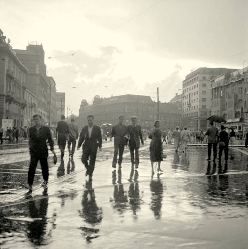 12377658_900114146724157_3745341588748415043_o