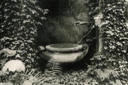 Dražen Zetić:  Za cvat Tvoje&nbsp;duše