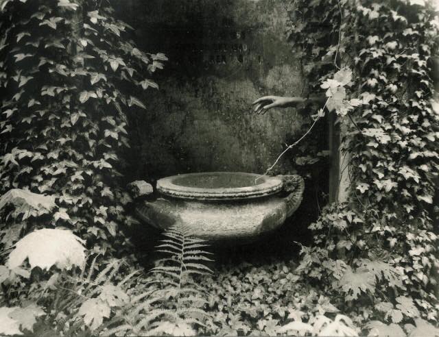 12742677_943514609064941_7561821279332835858_n