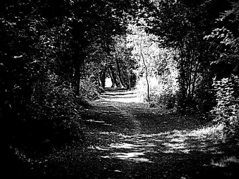 1723718_569571656457332_94132883_n