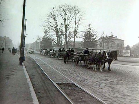 1916291_943051365763768_6071931274997612513_n