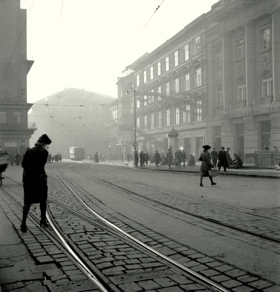 1918205_939385706130334_5140839827649086144_n