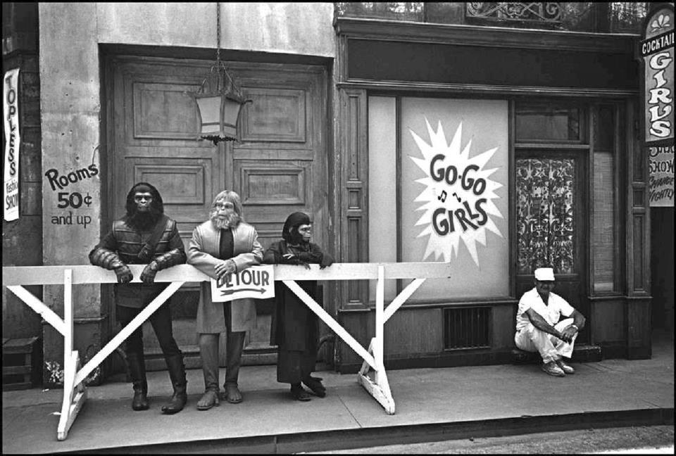 946642_492979000757089_1691107559_n