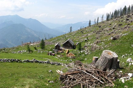 Dorta Jagić: ŠETNJA ŠUMOM U BAD&nbsp;ISCHLU