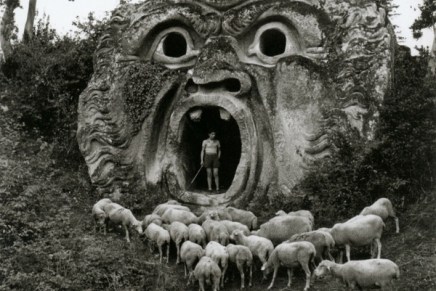 Božica Jelušić: OVCE DOMAĆE, VUNA&nbsp;DRŽAVNA