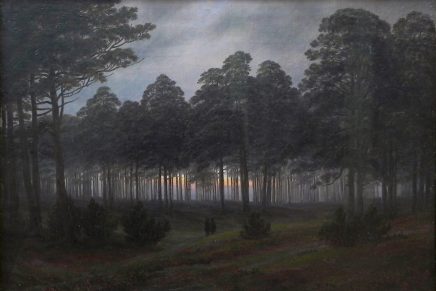 Dorta Jagić: Noć, gladna kao mrki&nbsp;medvjed