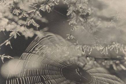 Carl Sandburg: DJEVOJČICE, PAZI ŠTO&nbsp;GOVORIŠ