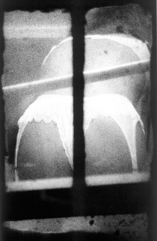 10989966_1033342950012937_6292398411659529071_n