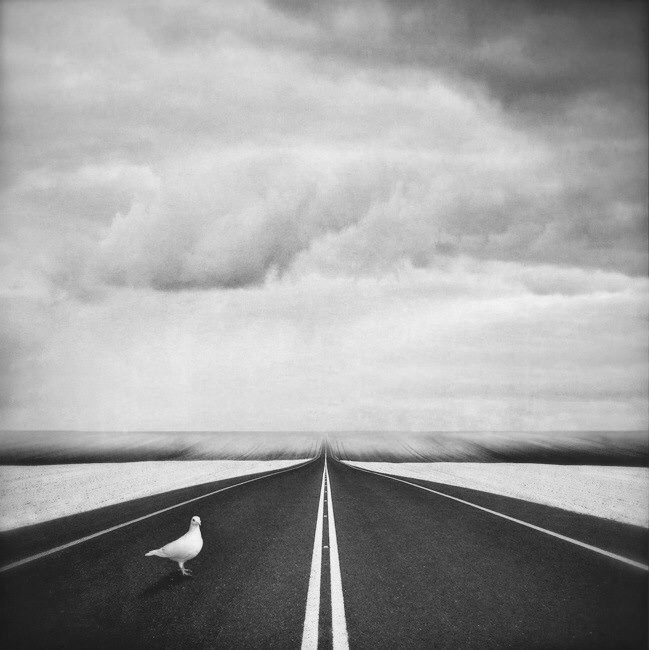 11760322_945925562130287_8236067416530111968_n