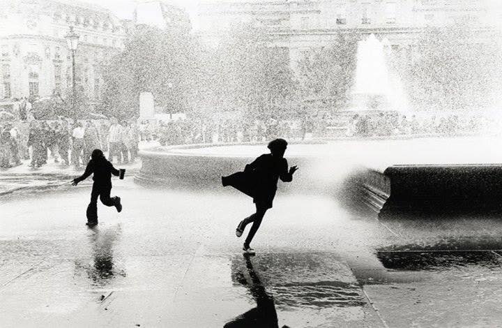 11825996_10204512770970414_1116934813378984295_n