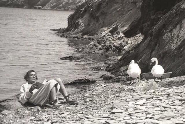 12645012_933447166738352_4160997618864326517_n