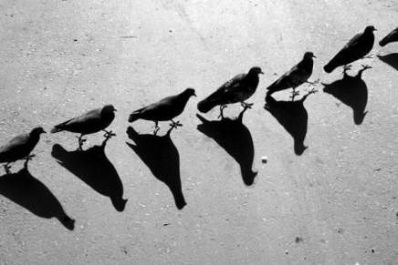 Nenad Bunjac: Olovna&nbsp;vremena