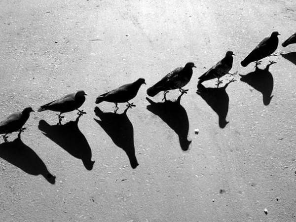 alexei-bednij-black-and-white-shadow-photography05