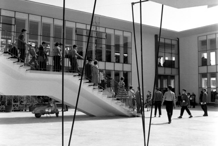 Masovna društvena afera