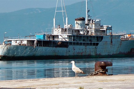 Vladimir Nazor: GALEB