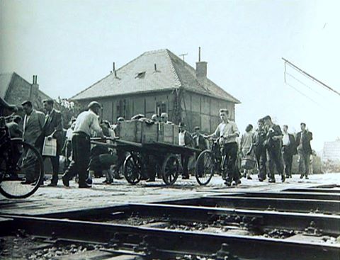 12805931_943997252335846_1993444571573100442_n